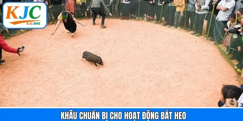 Các bước chuẩn bị cho hoạt động bắt heo